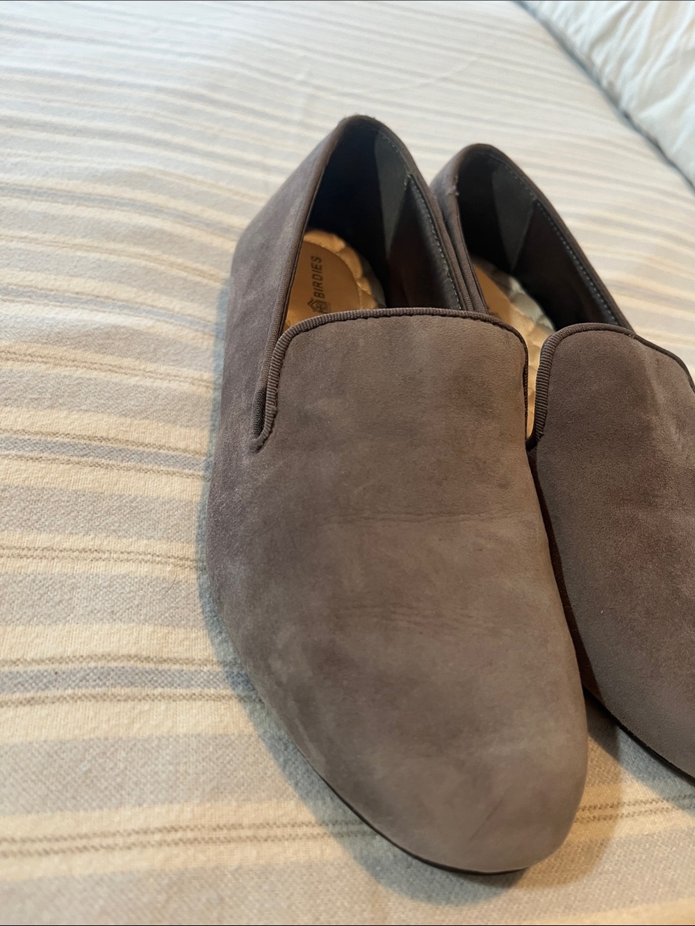 Grey Suede Birdies Slip On Shoes - Picture 3 of 8